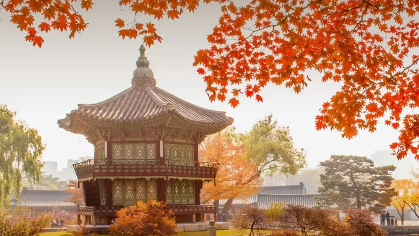 Top Fall Escapes - Where Asia Glows in Gold