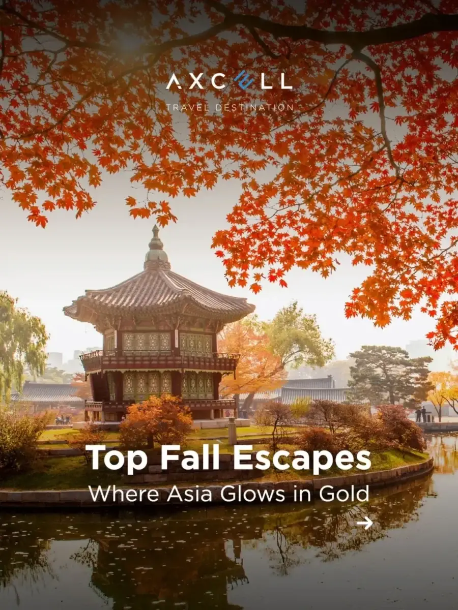 Top Fall Escapes - Where Asia Glows in Gold